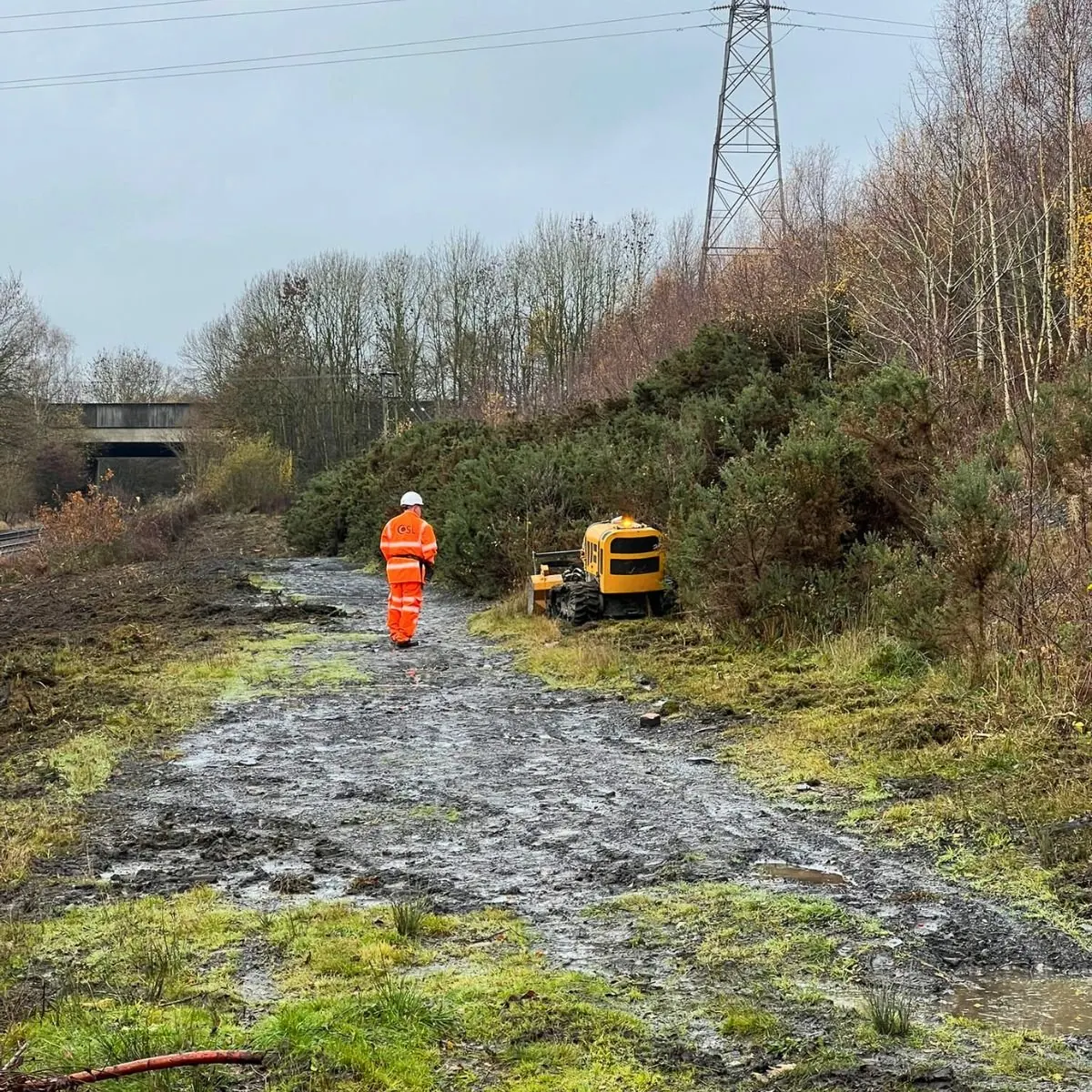 Land Management Works at Bersham Colliery